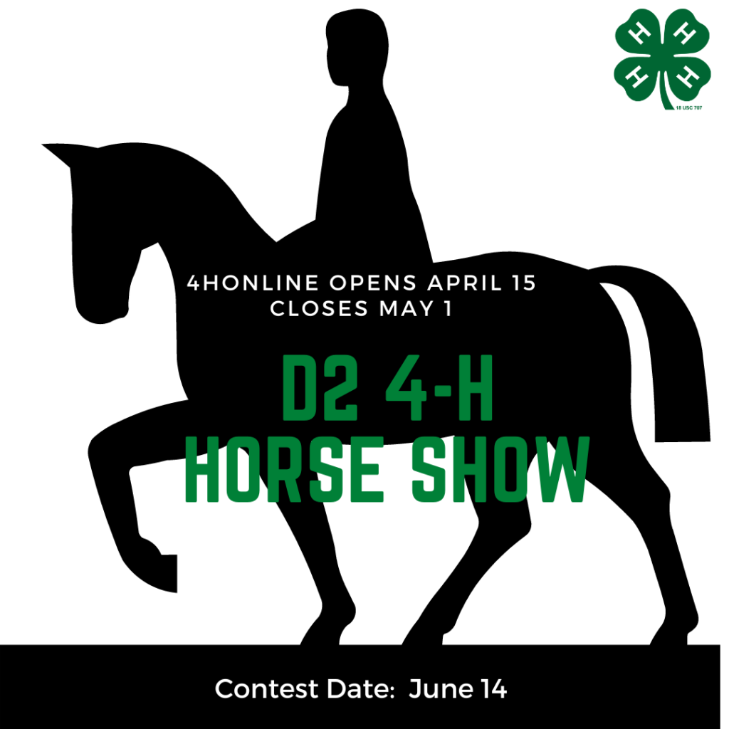 horse-show-district-2-4-h-and-youth-development